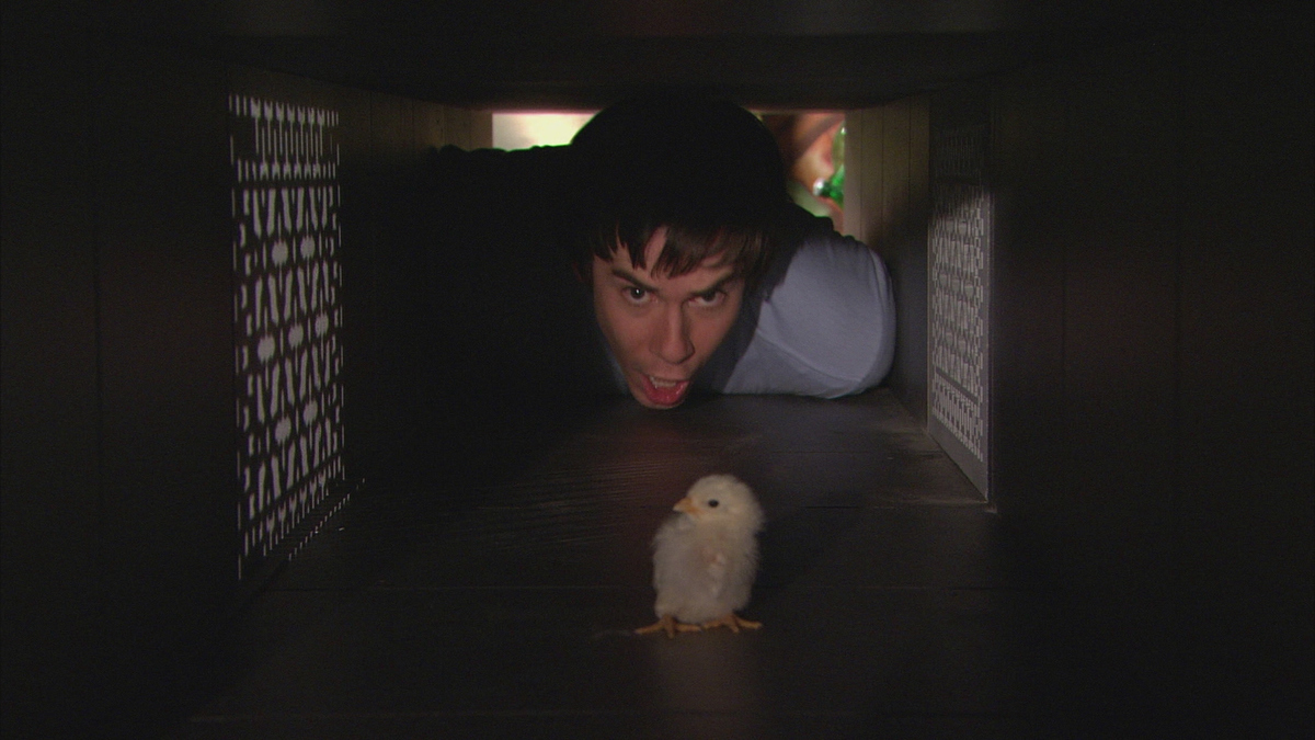 Watch iCarly Season 1 Episode 16: iHatch Chicks - Full show on CBS All.
