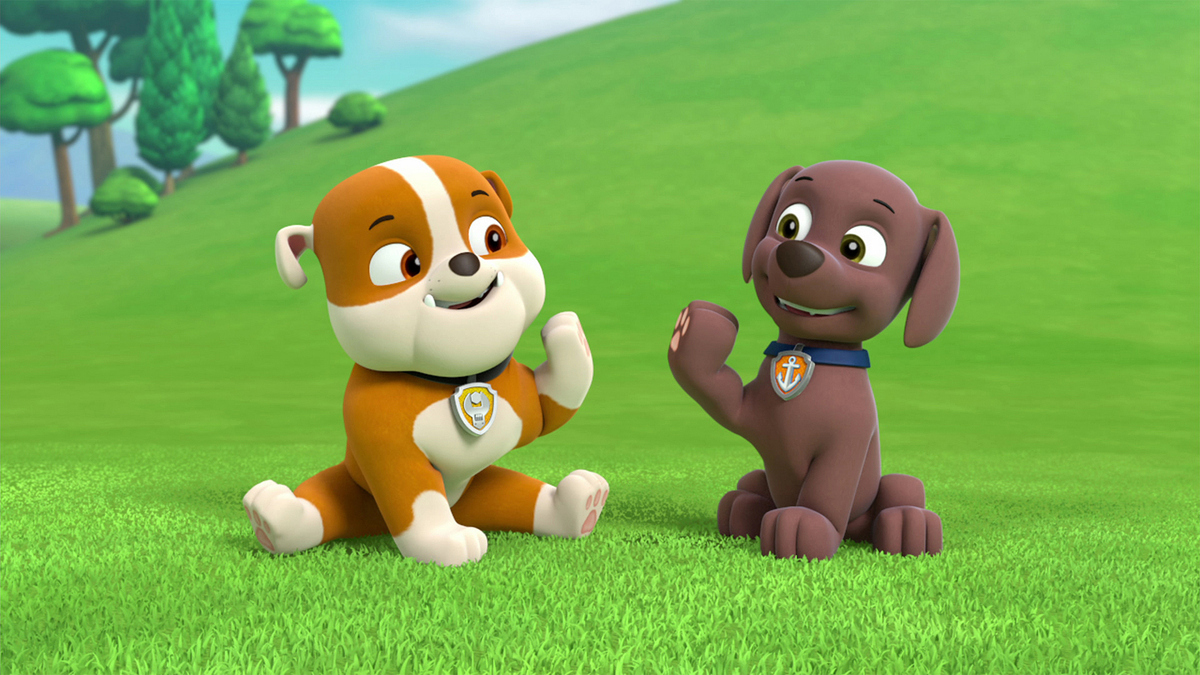 paw patrol pups save the circus dailymotion