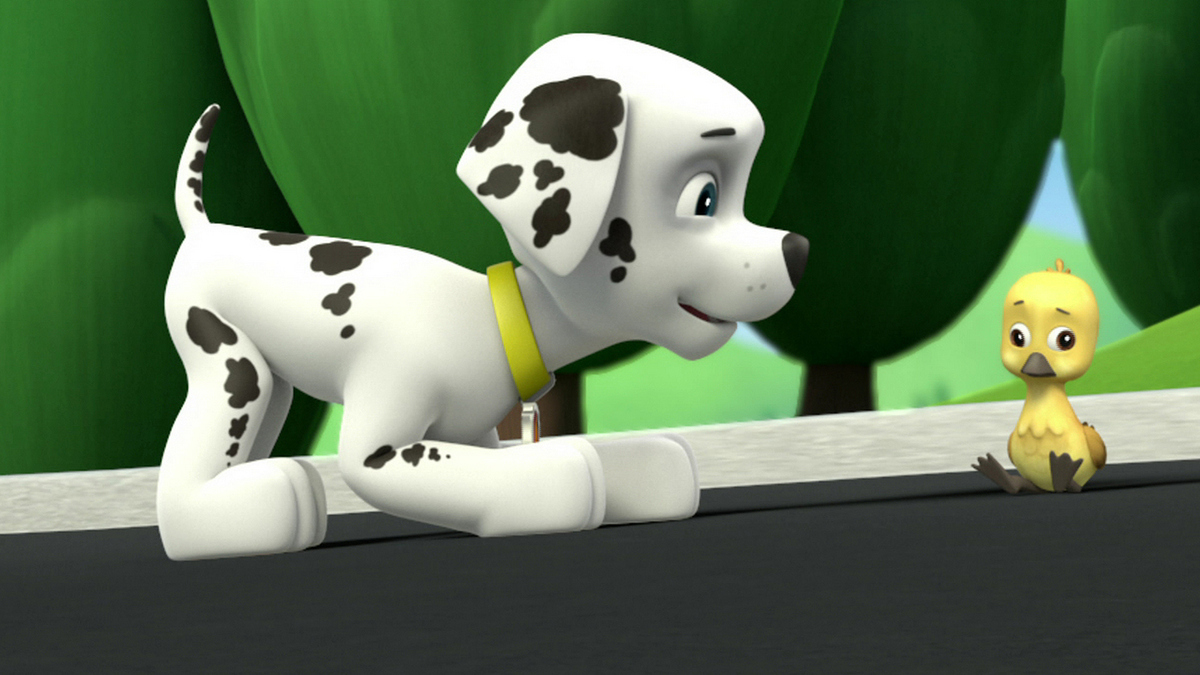 paw patrol new pup liberty