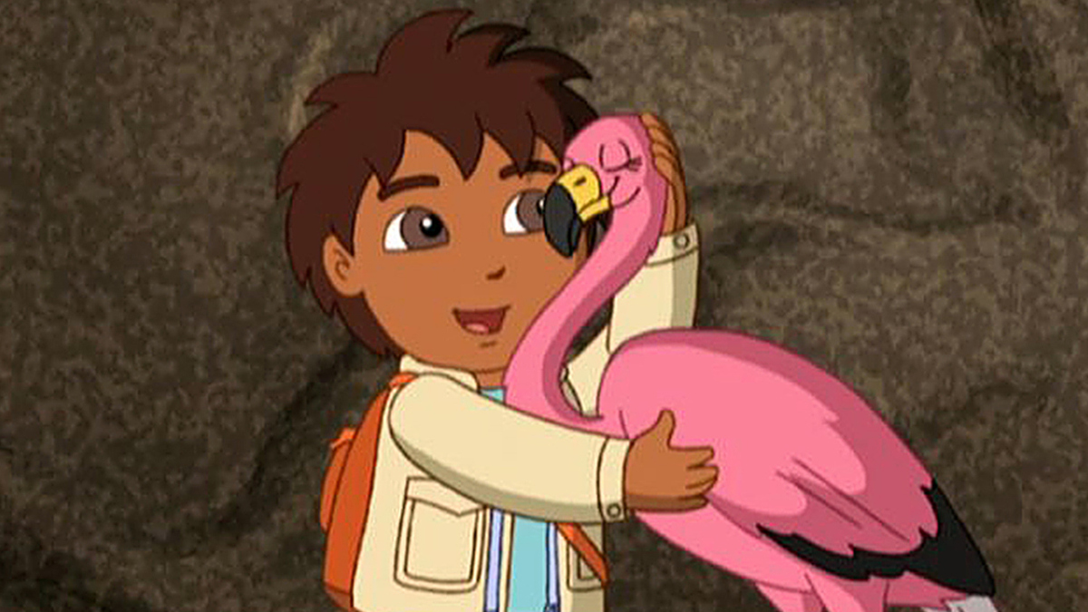 Watch Go, Diego, Go! Season 3 Episode 13: A New Flamingo Mami - Full ...