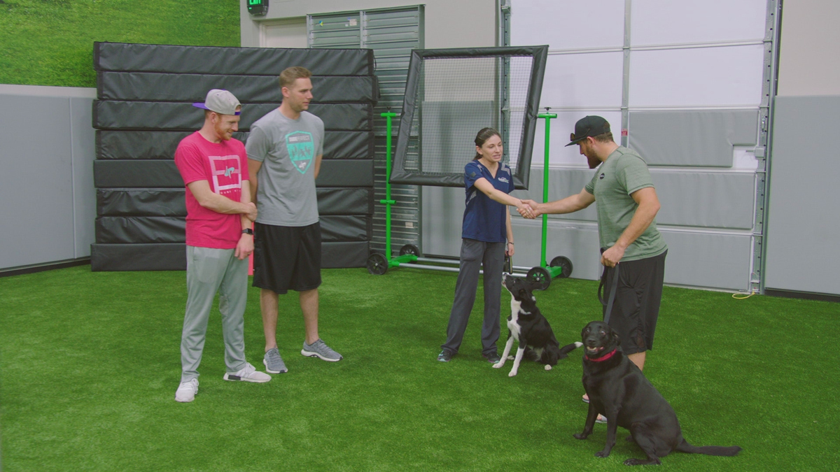 Watch The Dude Perfect Show Season 2 Episode 15 Dog Show, Wrestling