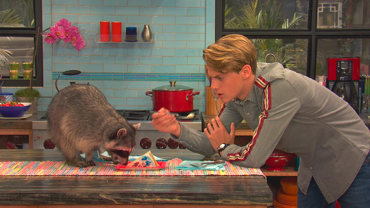 Watch Henry Danger Season 5 Episode 3 Henry Danger Henry's Birthday