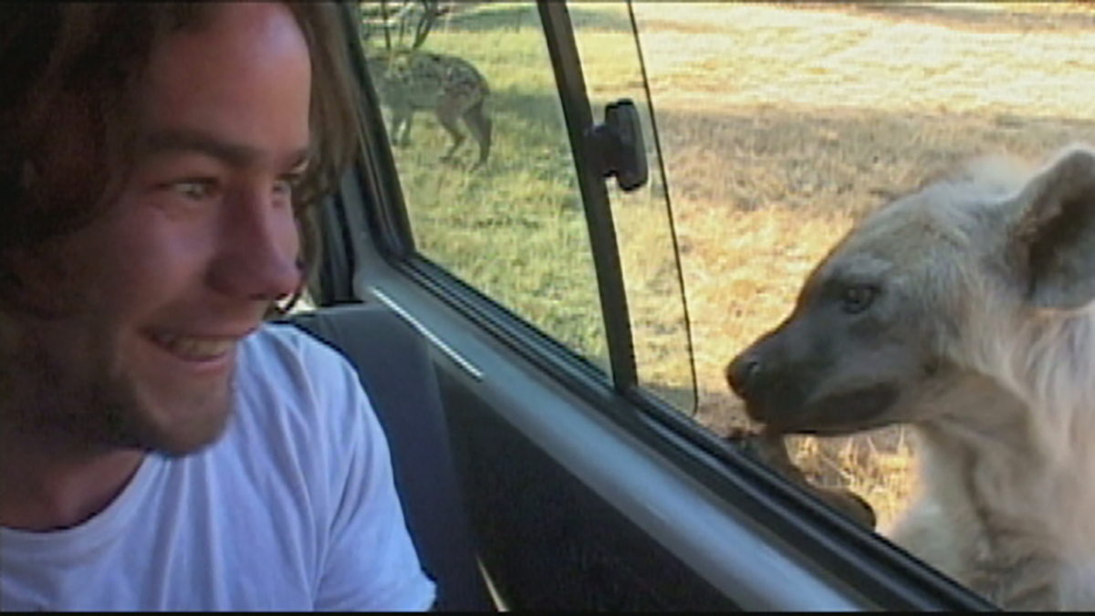 Wildboyz full episodes new arrivals