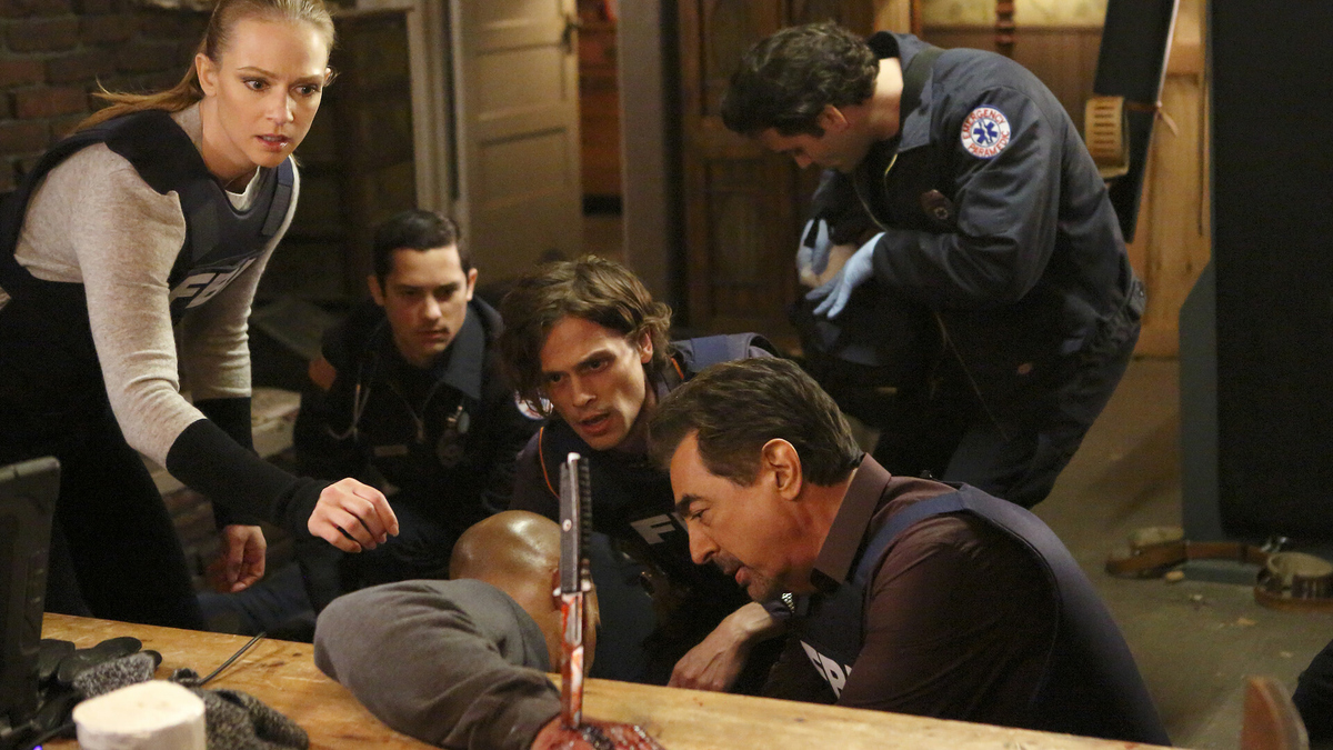 Regarder Esprits criminels Saison 11 Épisode 16: Esprits criminels