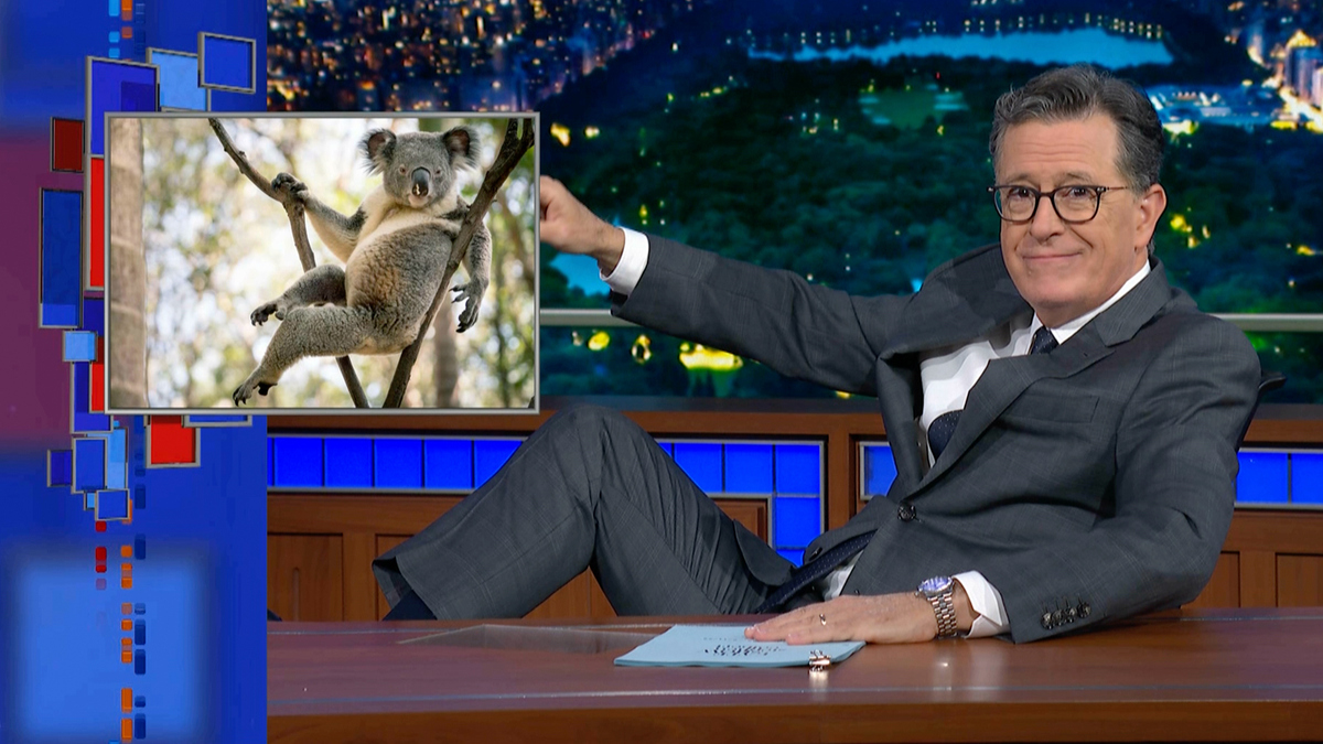 Watch The Late Show with Stephen Colbert Meanwhile… Koala Chlamydia ...