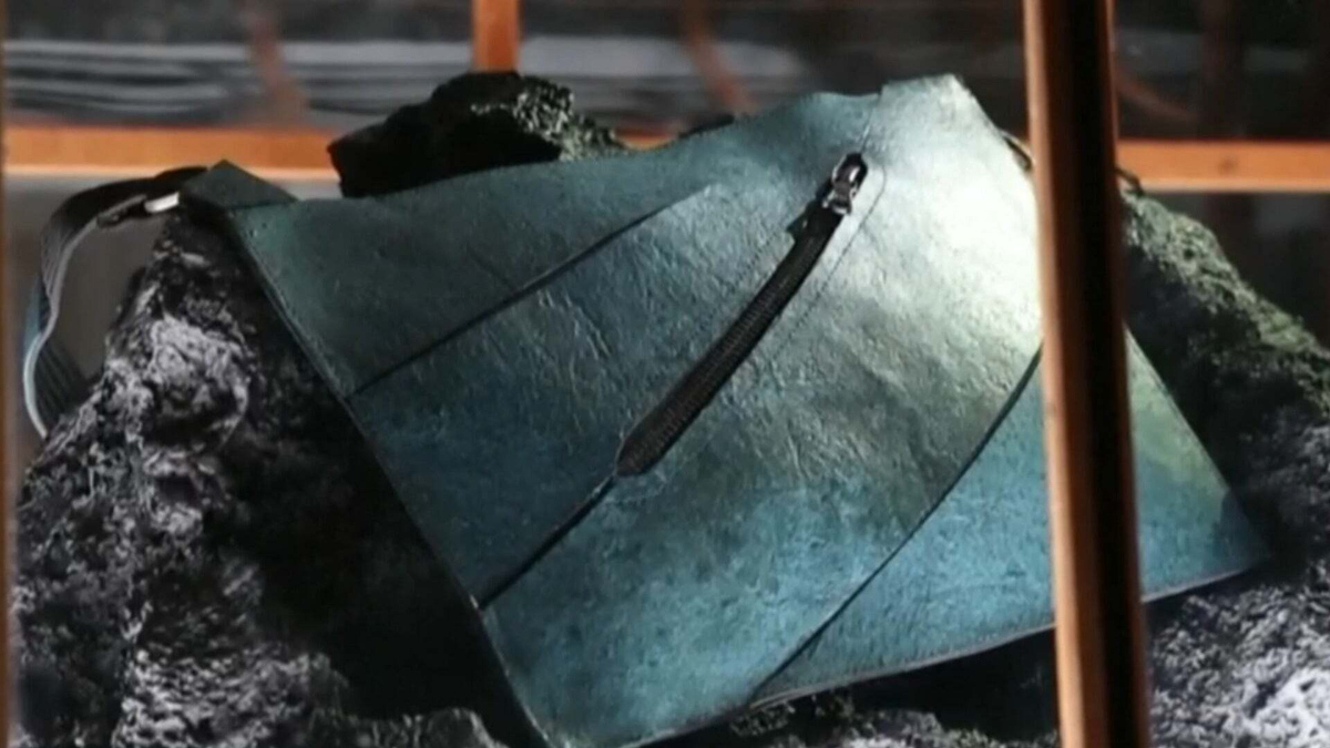 Watch CBS Saturday Morning Scientists unveil dinosaur leather bag