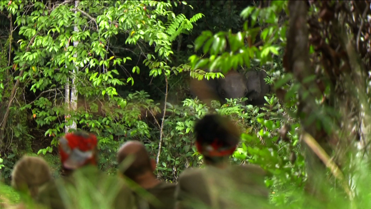 Watch Survivor Season 17 Episode 4 This Camp Is Cursed  Full show on