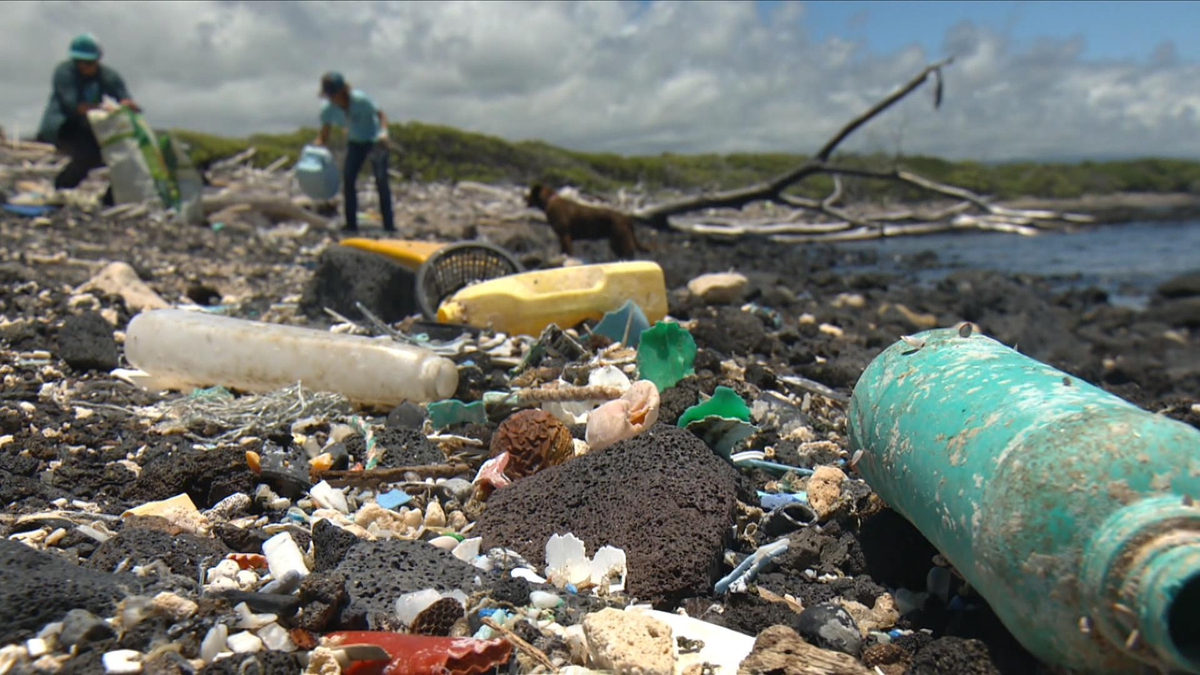 Watch CBS Evening News Hawaiians clean up "trash beach" Full show on
