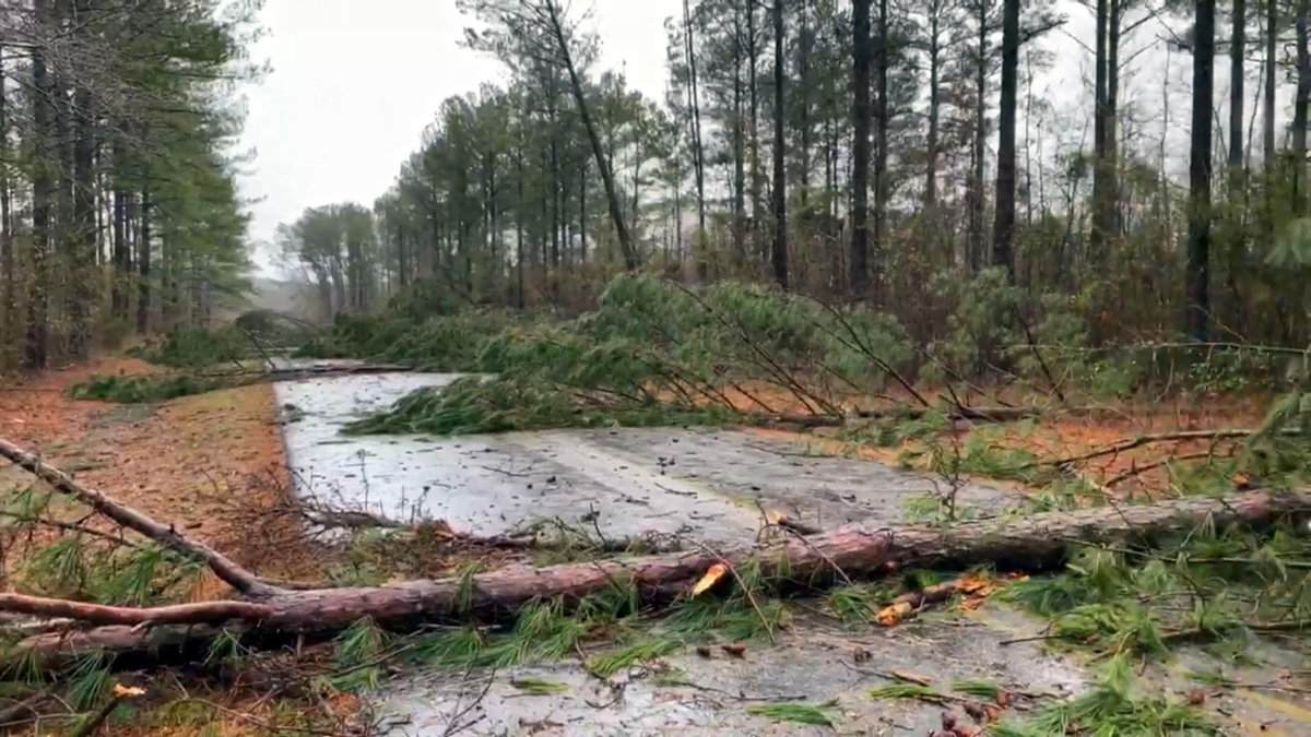 Watch CBS Evening News: Tornadoes hit the South, snow pummels Midwest ...