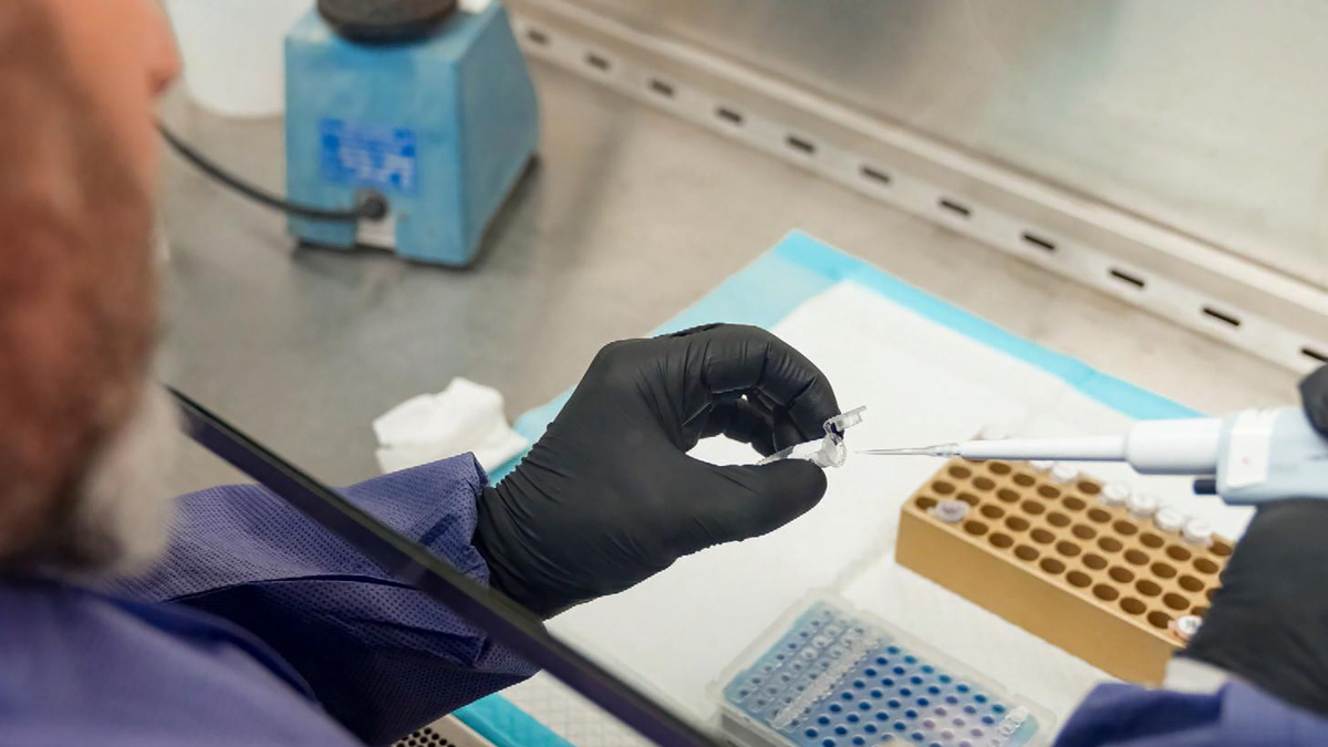 Watch CBS Evening News: U.S. officials ramping up coronavirus test ...