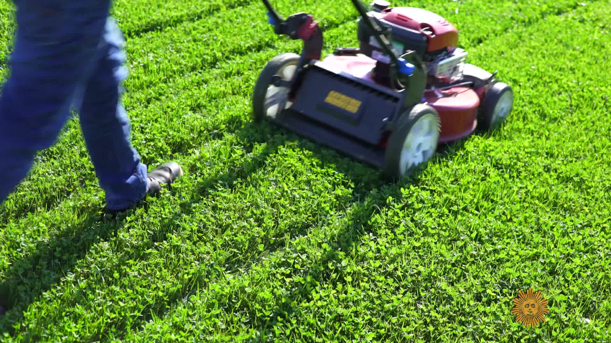 Watch Sunday Morning The Great American Lawn Full show on CBS