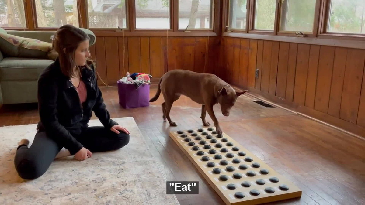 Watch Sunday Morning Meet Stella, the dog that "talks" Full show on CBS