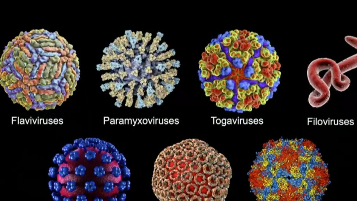 Watch CBS Evening News: Inside CDC efforts to track new COVID variants ...