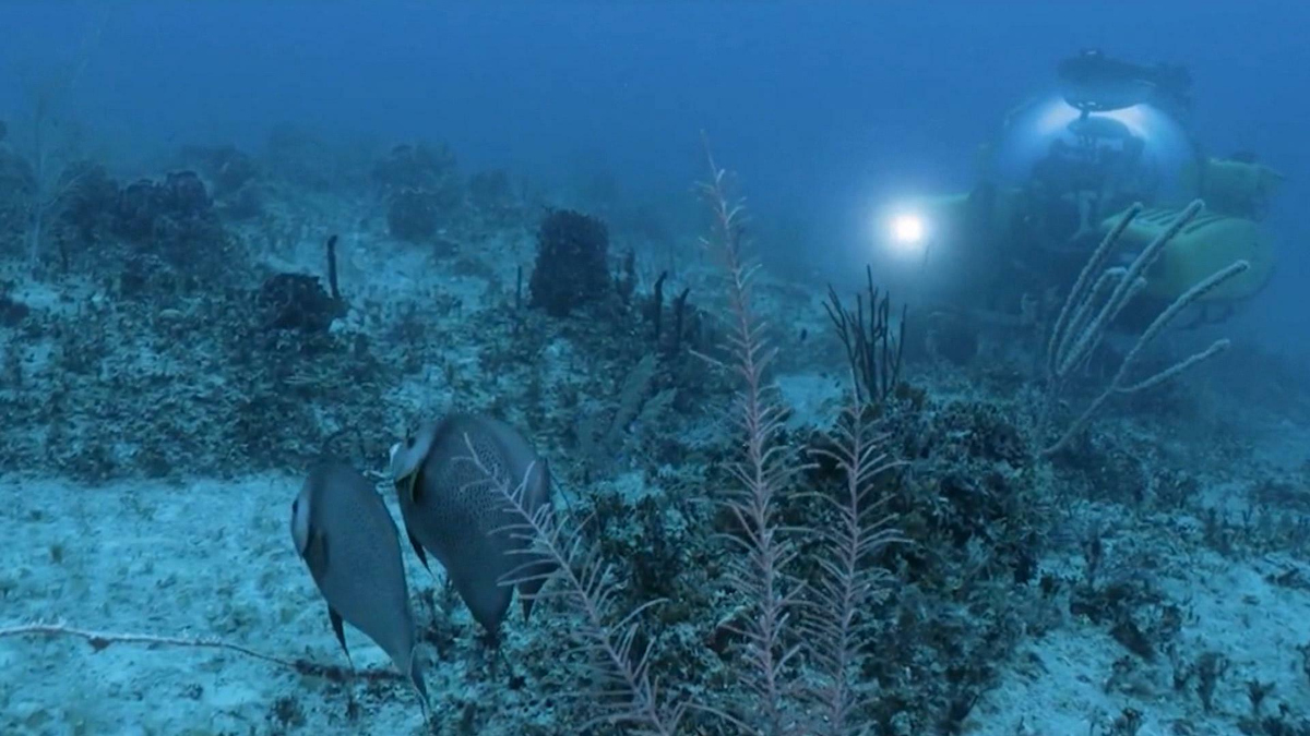 Watch CBS Saturday Morning A deep dive to the Mariana Trench Full