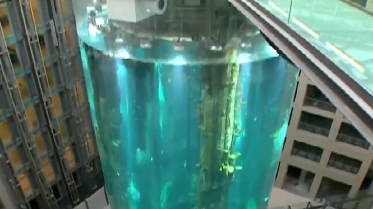 Watch CBS Evening News: Aquarium holding 1,500 fish bursts in