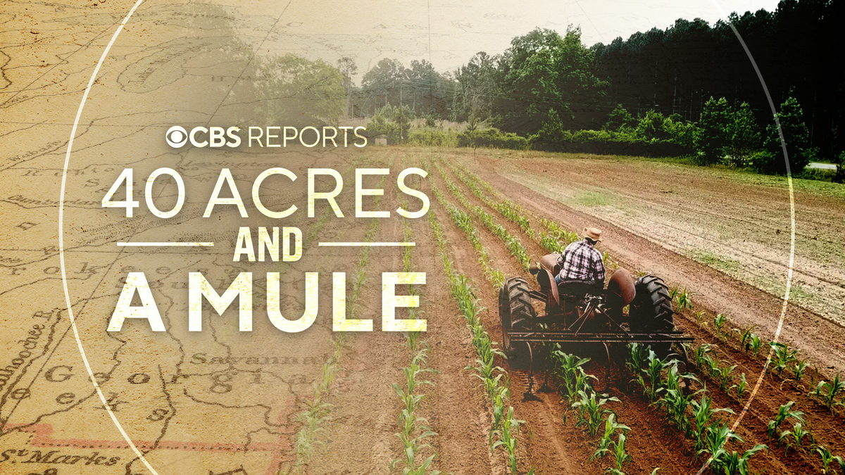 Watch Cbs Reports Season 8 Episode 13 40 Acres And A Mule Cbs Reports Full Show On 