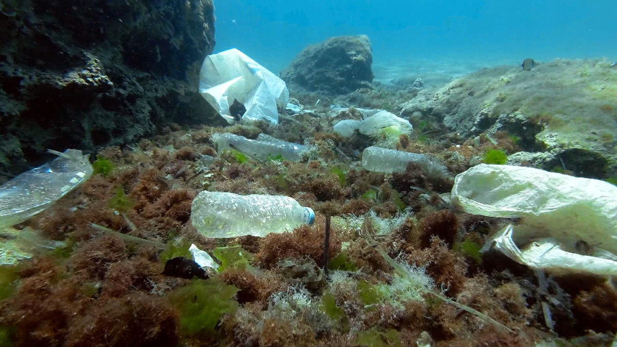 Watch CBS Mornings Scientists explore plastic trash crisis Full show