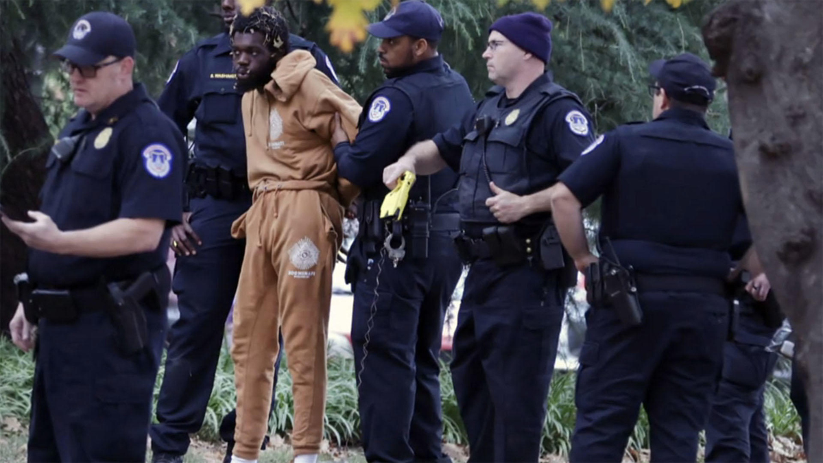 Watch CBS Evening News: Man with gun arrested in park near U.S. Capitol ...