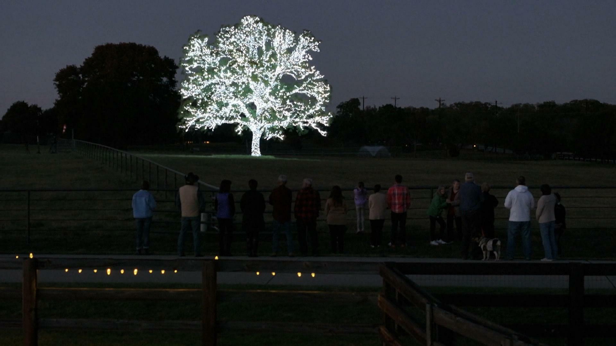 Watch CBS Saturday Morning Unique Texas Christmas tree draws visitors