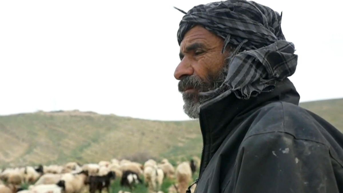 Watch CBS Evening News Palestinian shepherds in West Bank under attack ...