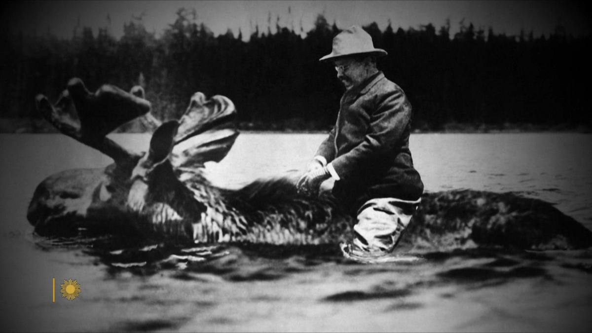 Watch Sunday Morning Did Teddy Roosevelt ride a moose? "Sunday Morning