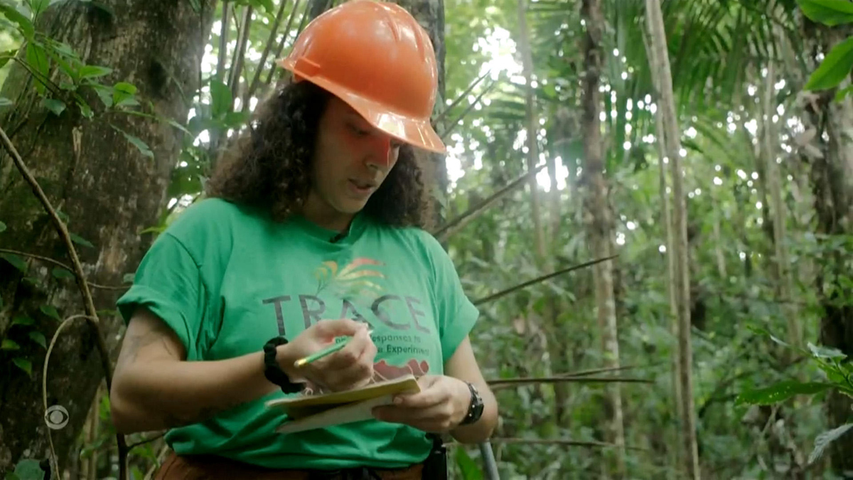 Watch CBS Evening News: How climate change could impact forests - Full ...