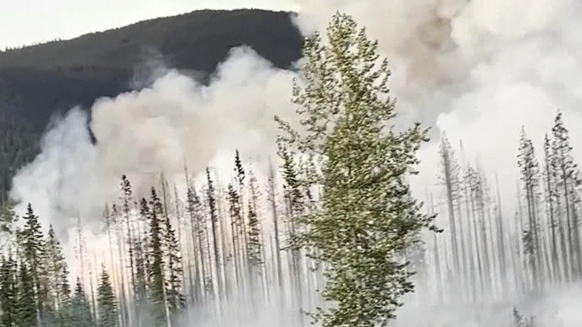Watch CBS Mornings Dozens of wildfires burn in the West - Paramount+