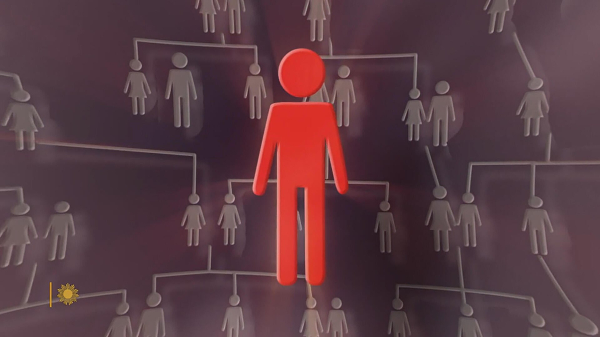 Watch Sunday Morning: Cracking the code: Building the family tree of a ...