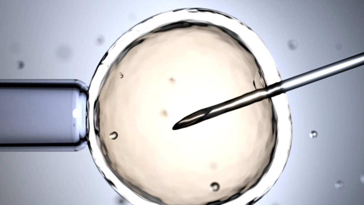 Watch CBS Mornings Exploring embryo DNA modification and ethics ...