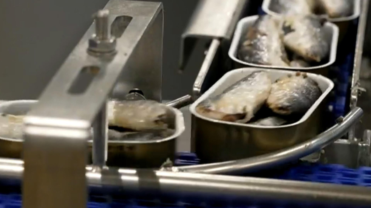 Watch CBS Saturday Morning Tinned fish finds a new audience - Paramount+