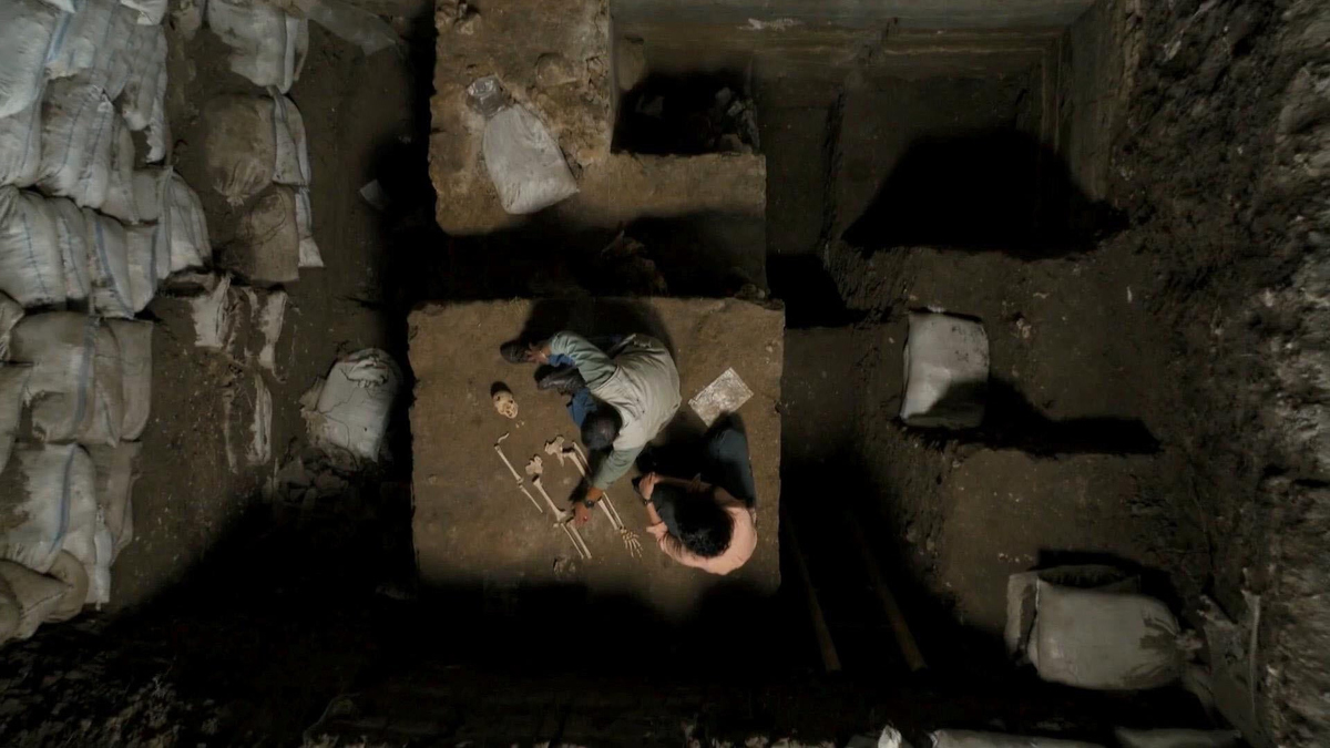 Watch CBS Mornings: "Human" retraces path of human evolution - Full ...