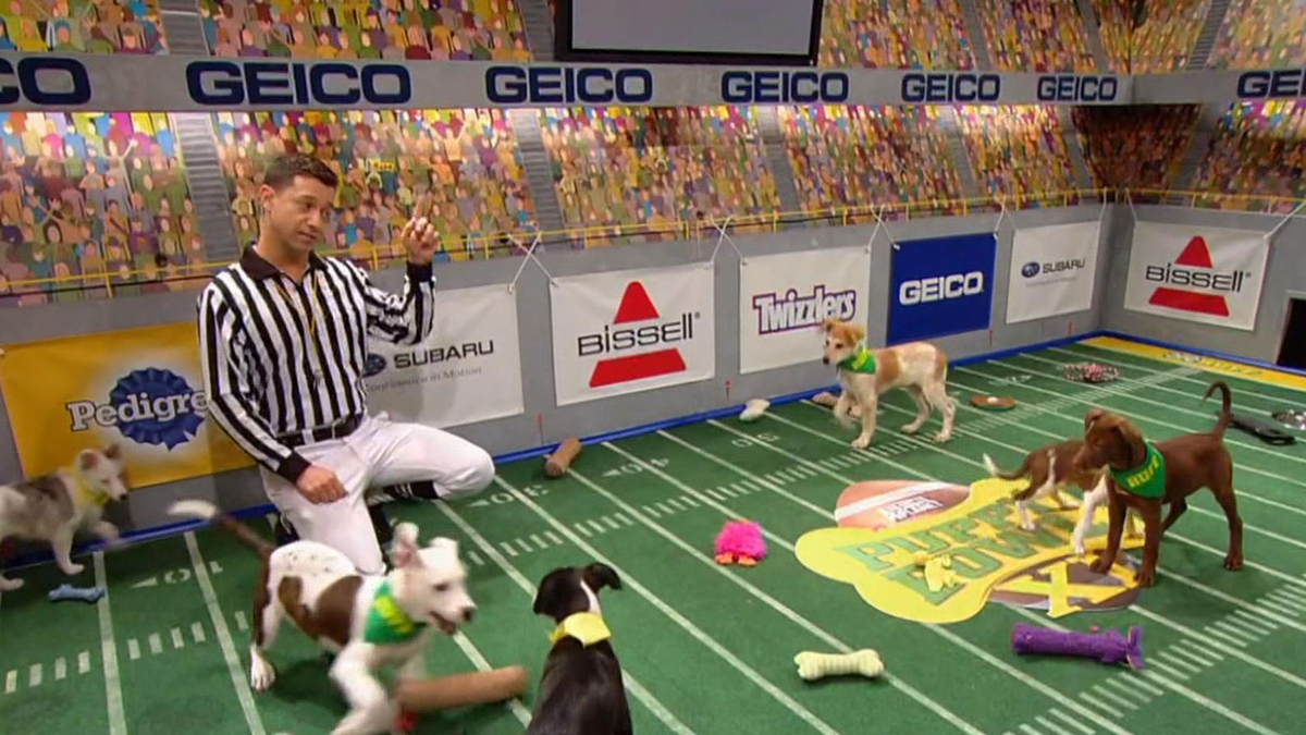 Watch Sunday Morning The Puppy Bowl Full show on CBS