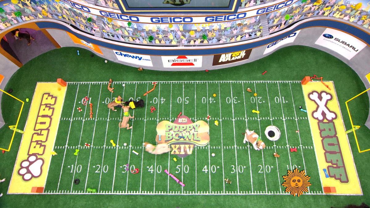 Watch Sunday Morning: Preview: The rules of Puppy Bowl - Full show on CBS