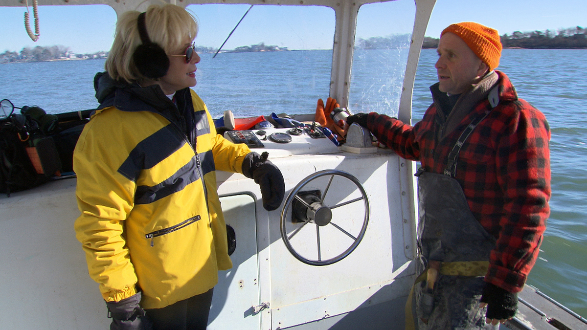Watch 60 Minutes Seaweed Farming And Its Surprising Benefits Full 