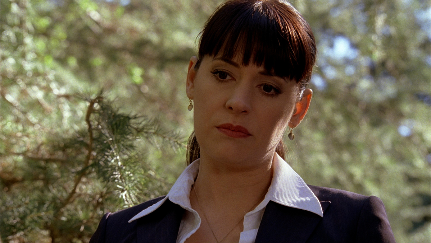 Watch Criminal Minds Season 4 Episode 21 Criminal Minds A Shade of