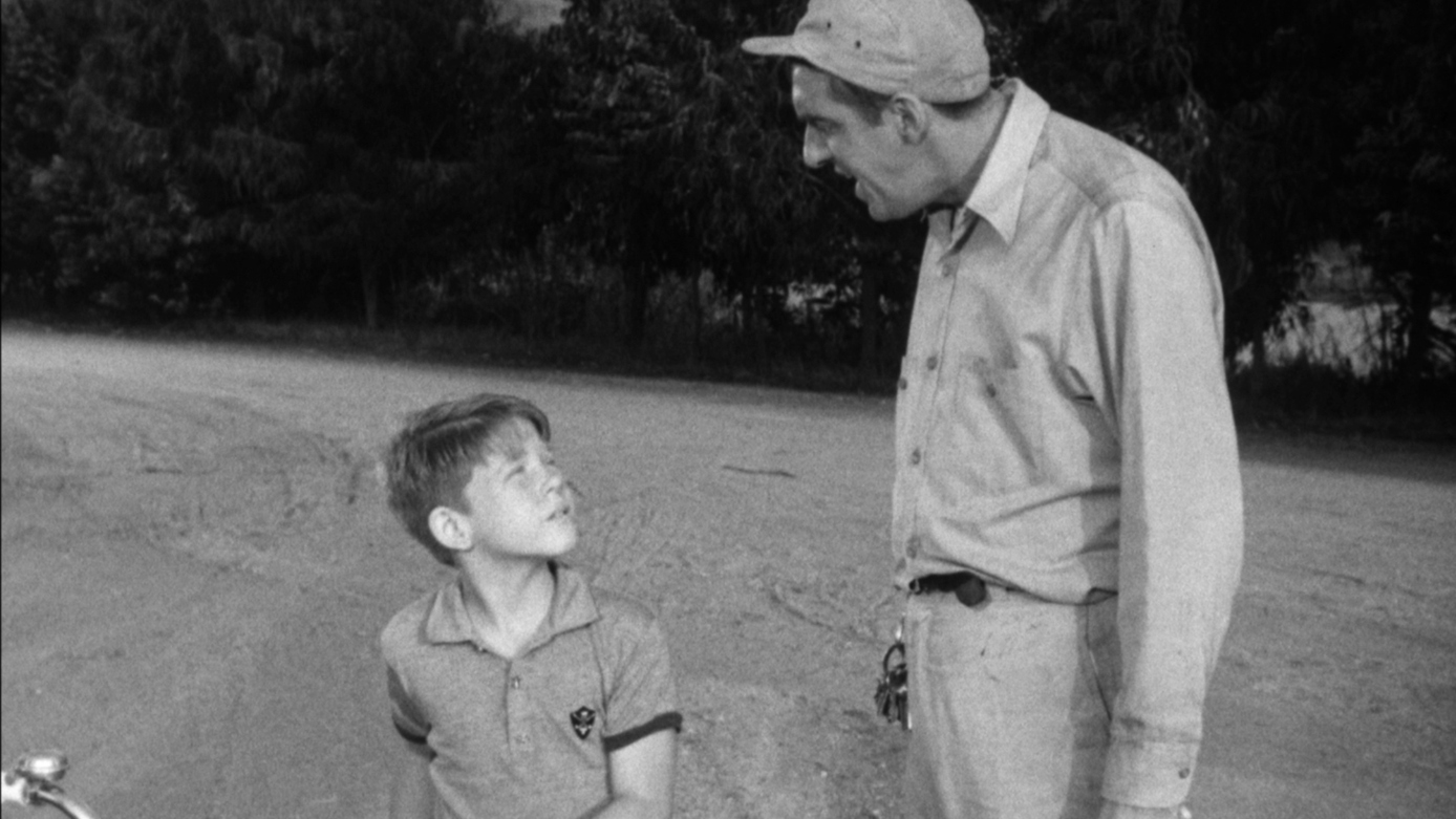 Watch The Andy Griffith Show Season 4 Episode 11 Citizen's Arrest