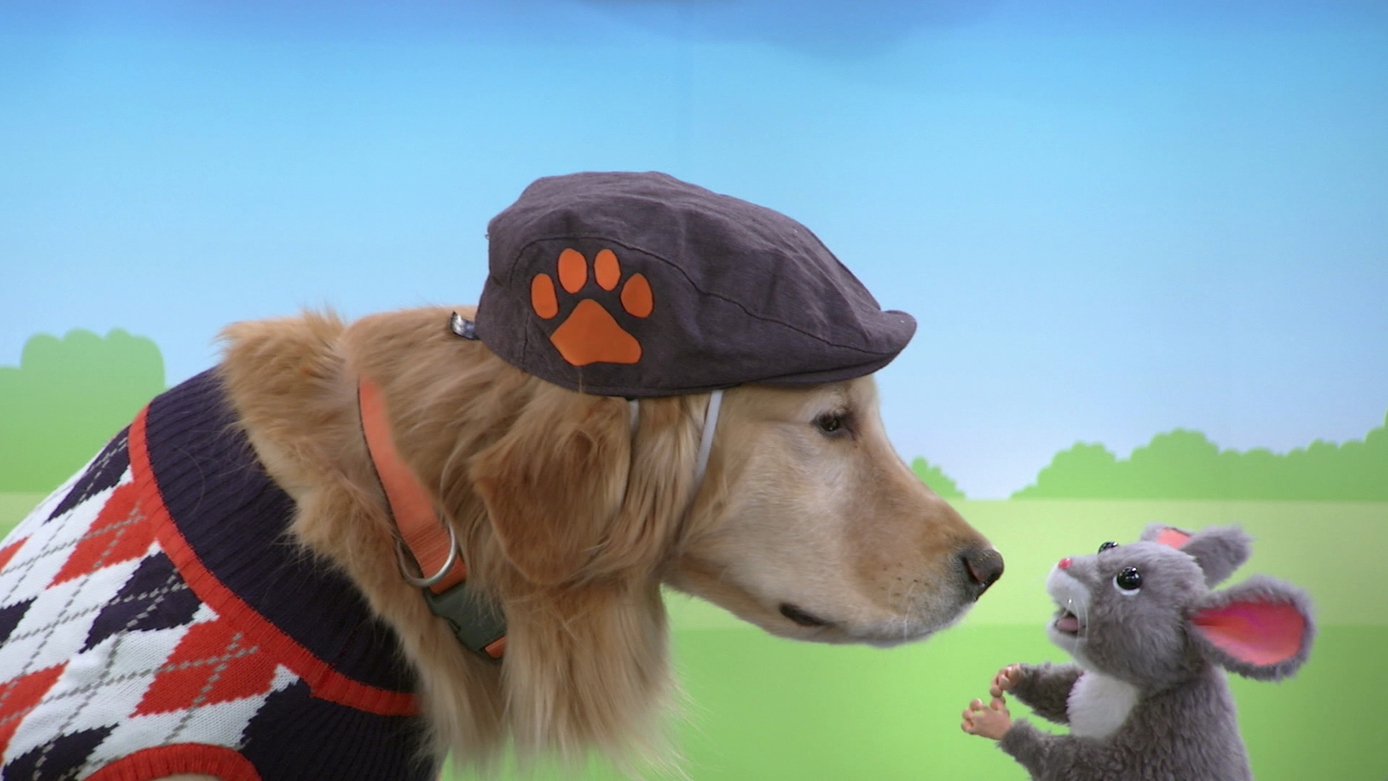 Watch Mutt & Stuff Season 2 Episode 13 Putt & Stuff Full show on