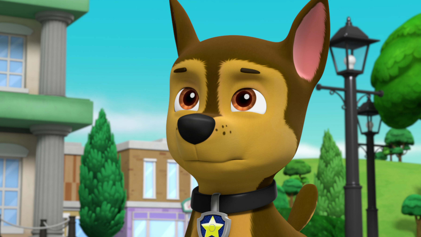 paw patrol pups save the tigers