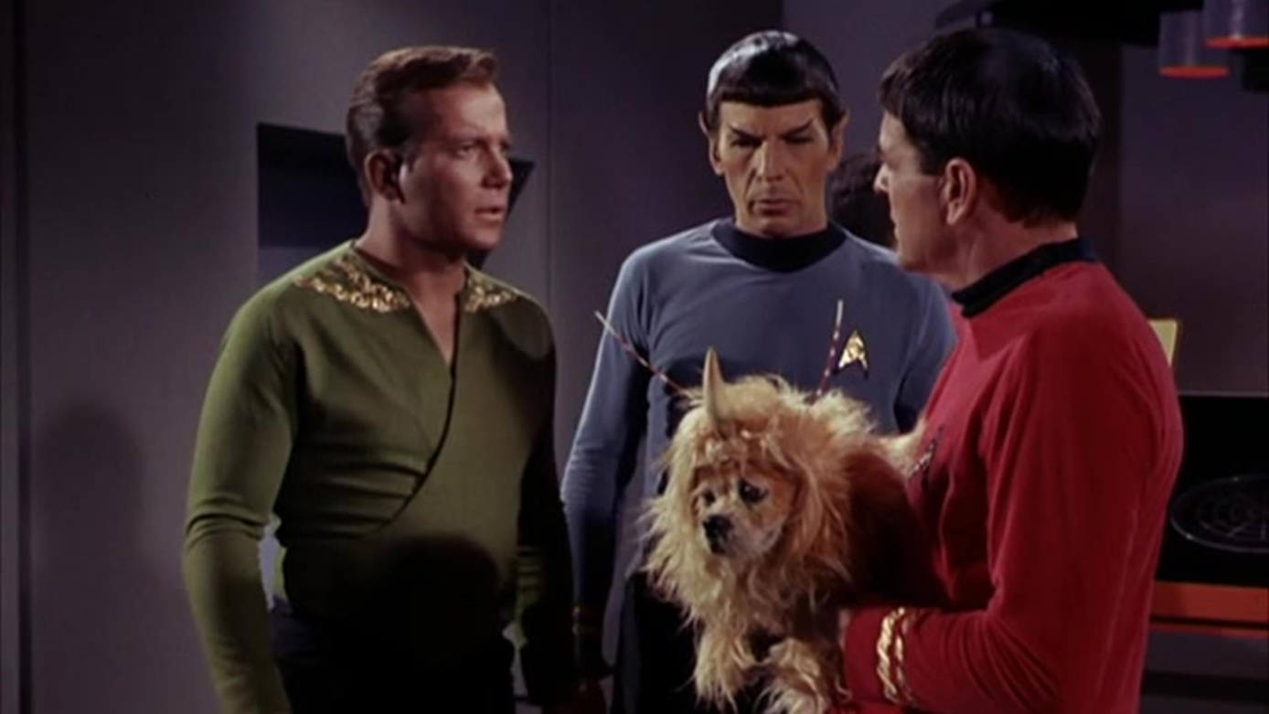 Watch Star Trek The Original Series Remastered Season 1 Episode 5 The Enemy Within Full 6463