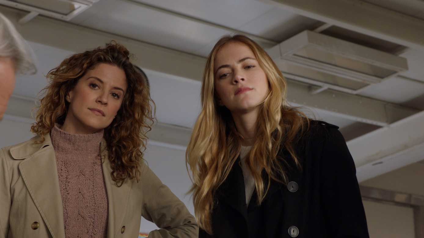 Watch NCIS Season 15 Episode 19 The Numerical Limit Full show on