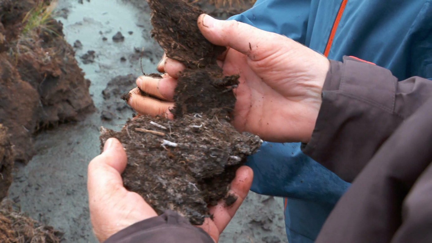 Watch CBS Mornings Scotland's peat bogs vital for carbon storage Full show on CBS
