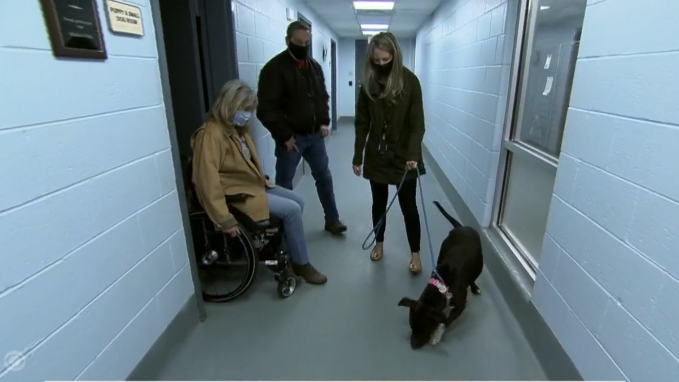 Watch CBS Evening News Shelter animals find homes for the holidays