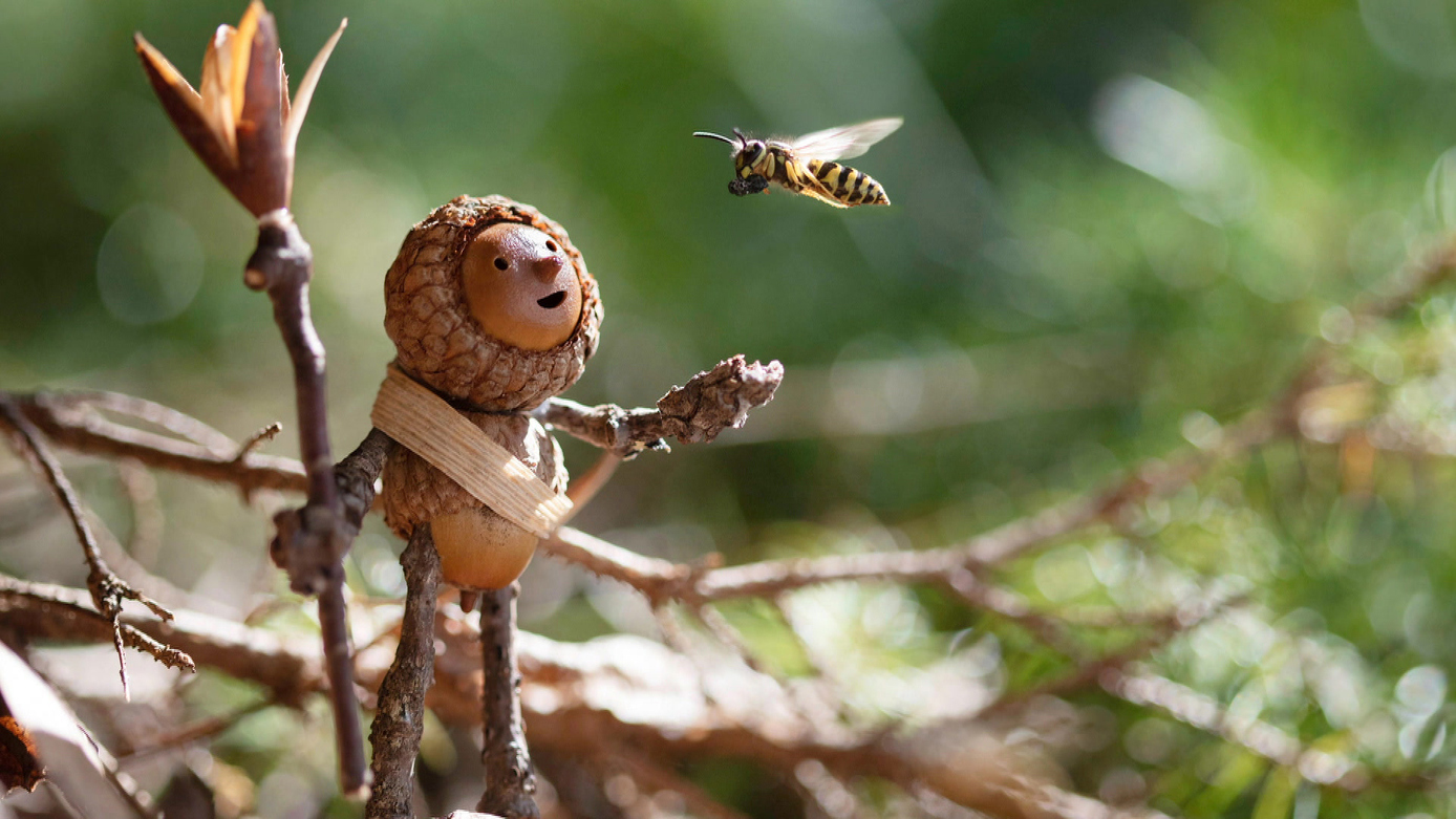 Watch Sunday Morning Becorns Whimsical creations sculpted from Nature
