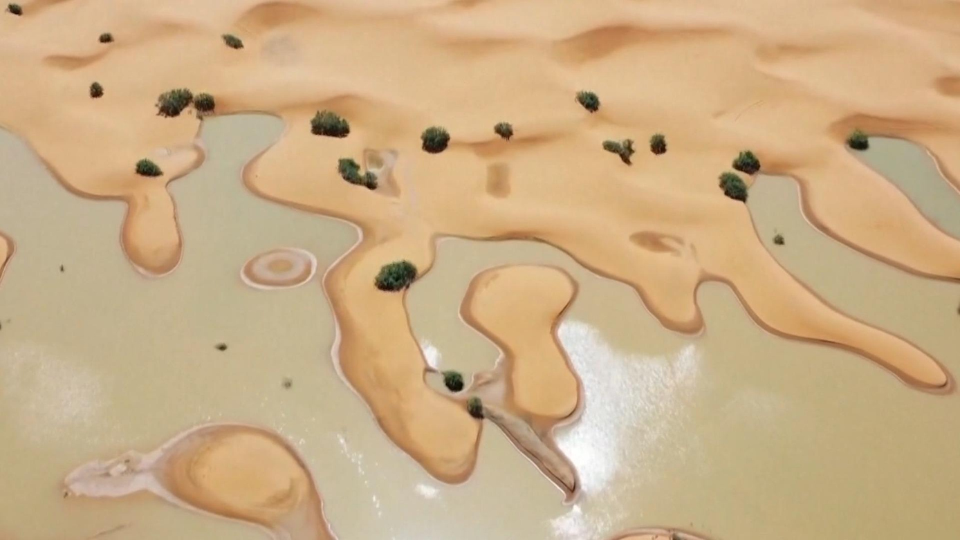 Watch CBS Evening News: Sahara Desert flooding after torrential ...