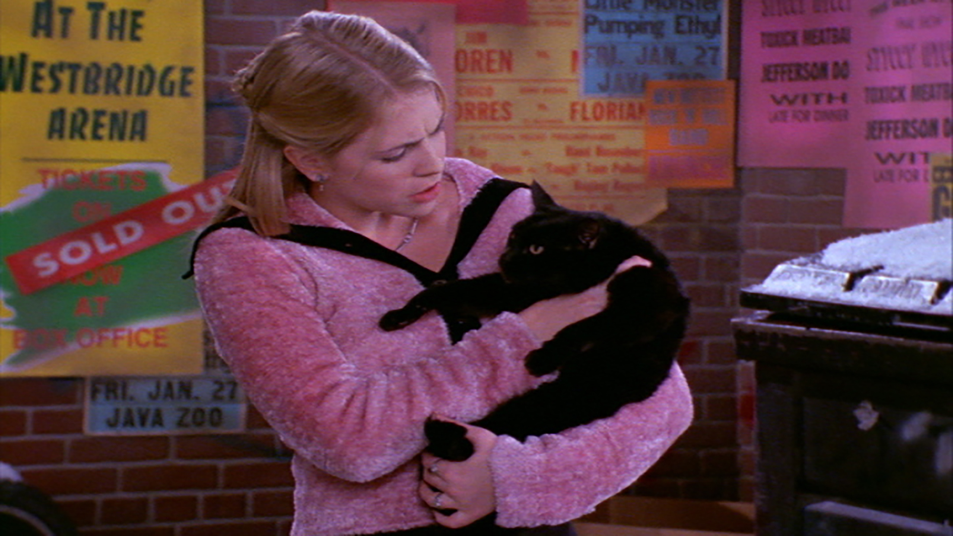 watch sabrina the teenage witch season 1 episode 22 watch sabrina the teenage witch season 1 episode 22