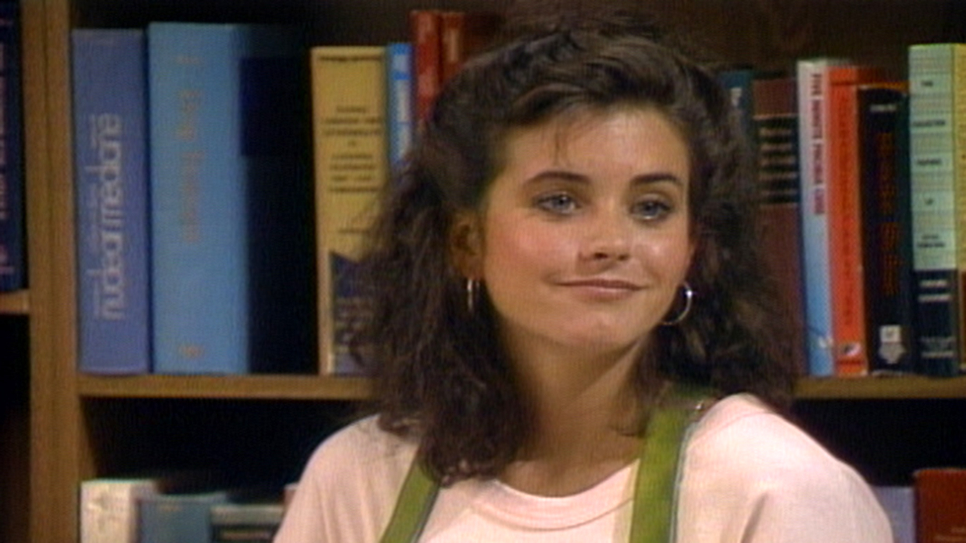 Watch Family Ties Season 6 Episode 2 The Last of the Red Hot