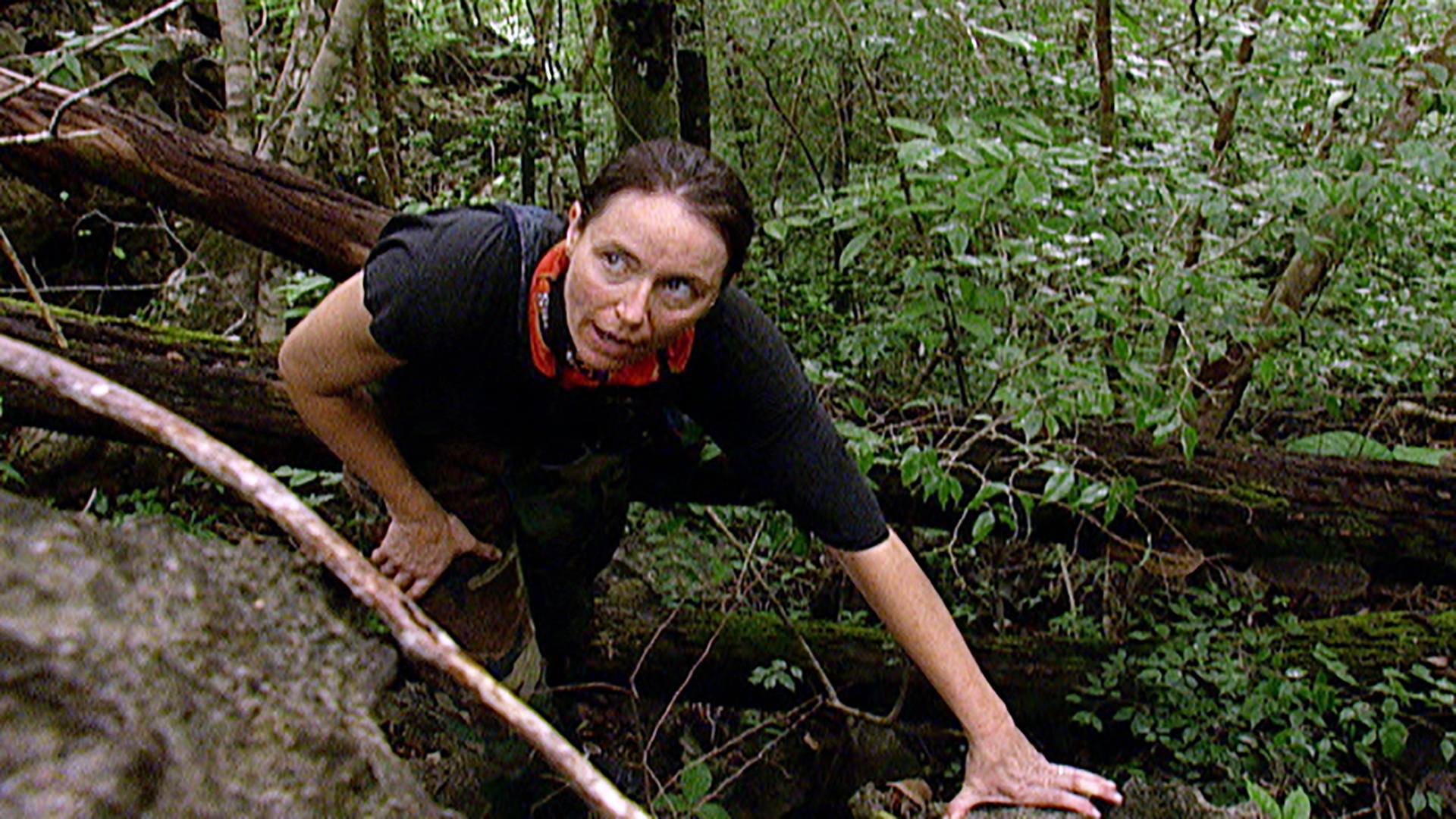 Watch Survivor Season 5 Episode 11 A Closer Look  Full show on CBS