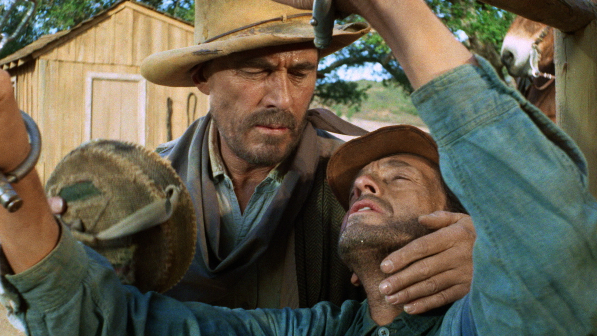 Watch Gunsmoke Season 14 Episode 23 Gunsmoke The Intruder Full