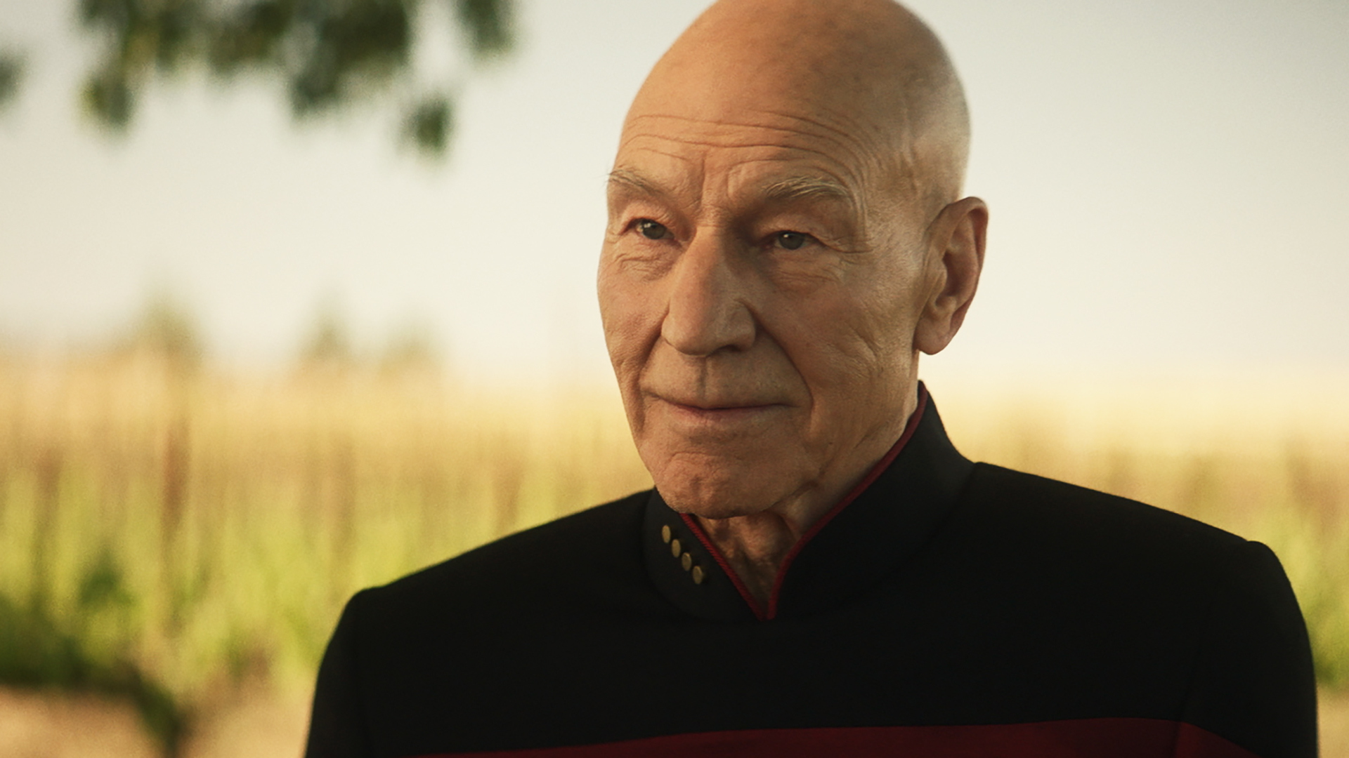 Watch Star Trek Picard Season 1 Episode 1 Remembrance Full Show On Paramount Plus