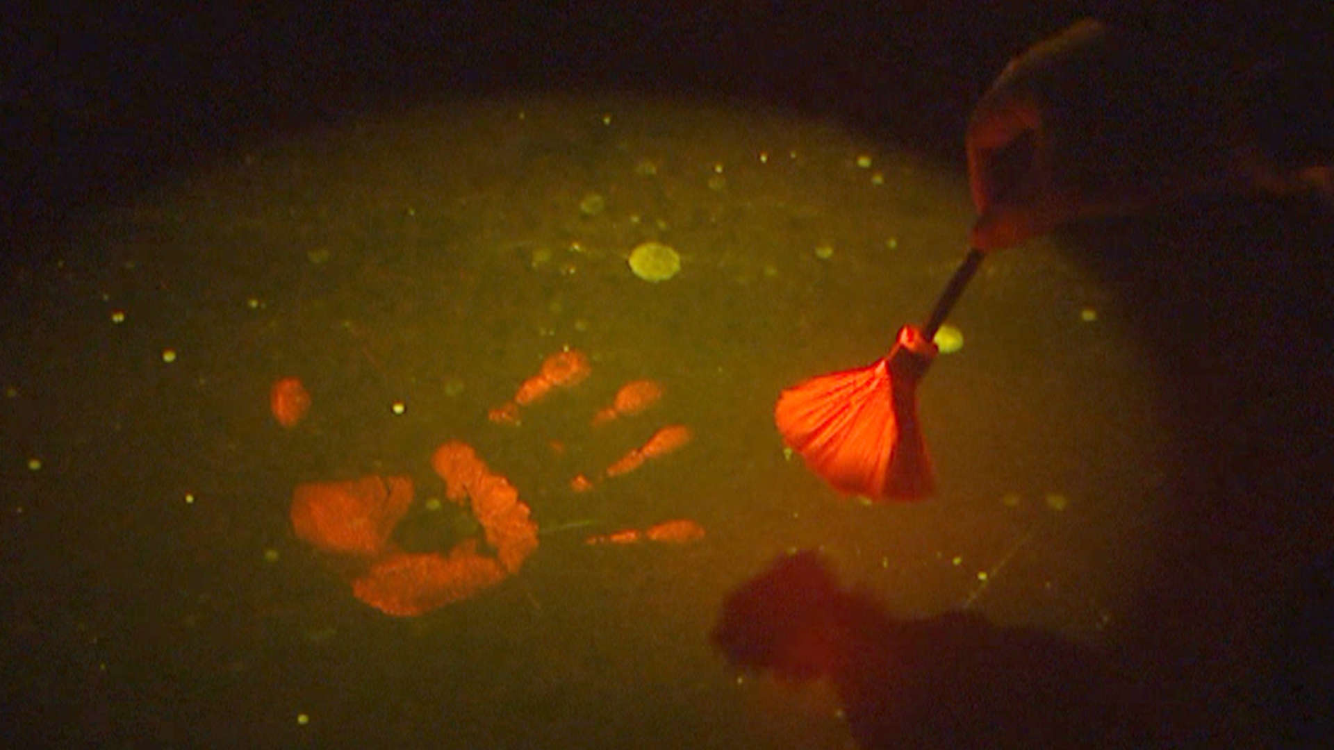 Watch Catching Killers Season 1 Episode 2 Catching Killers